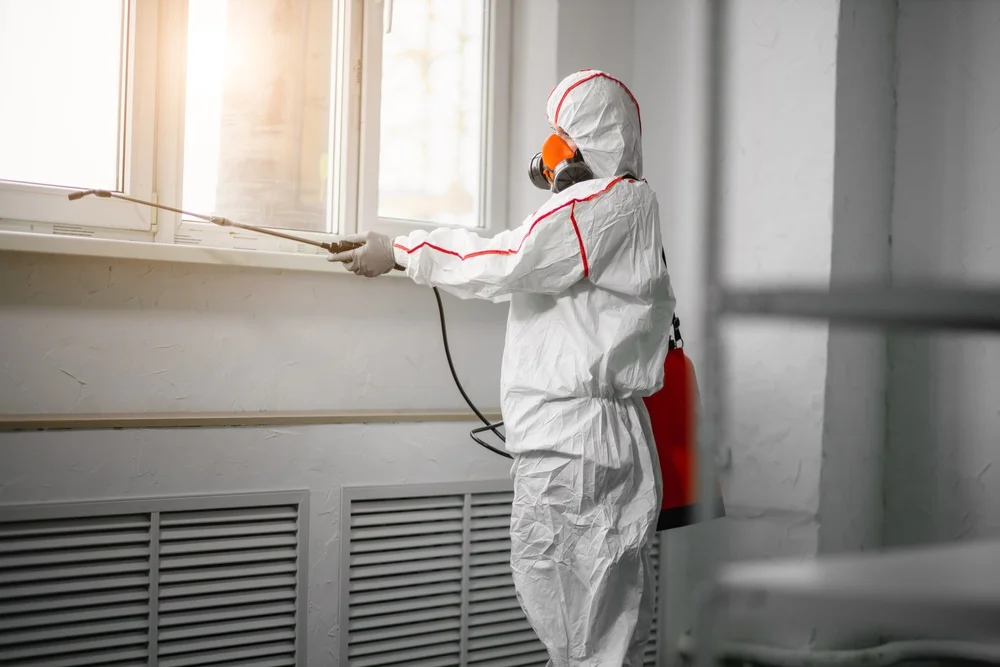Professional mold remediation services in Sun City Center, FL